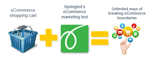 eCommerce Marketing from Springbot